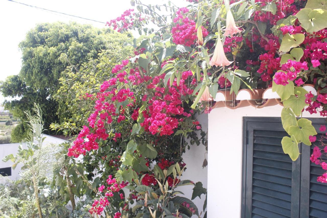Casinha Da Andorinha - Ericeira Vila Exterior foto